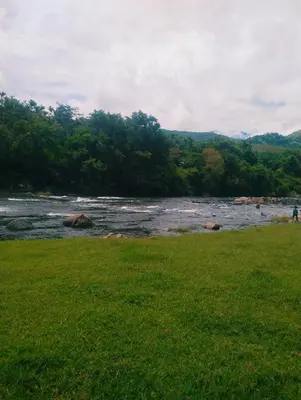 a view of a river with a grass field and trees at ADVI'S homestay in Agali