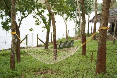 a hammock hanging between trees in a park at Lakedale Resorts in Thekkumkara