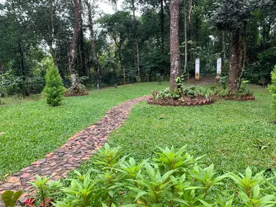 a stone path through a park with trees at Cuppa Creek Homestay in Madikeri