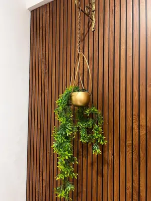 a plant hanging from a wall with a hanging pot at SAHARHOMEstay O3 in Mysore