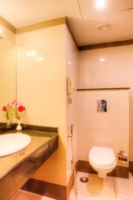 a bathroom with a sink and a toilet at The Atrium Boutique Hotel in Mysore