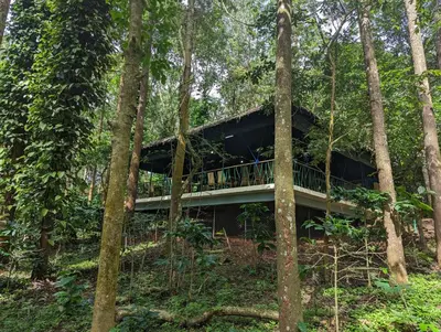 a house in the middle of the forest at Gorukana Eco Wellness Centre in Honganūr