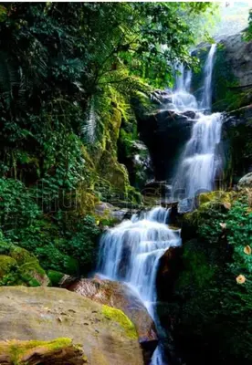 a waterfall in the middle of a forest at Golden Hills cottage munnar Mankulam Munnar in Viripara