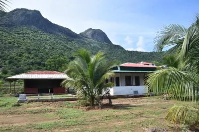a house with a palm tree in front of a mountain at Beyond Ghatts Homestay in Dhali