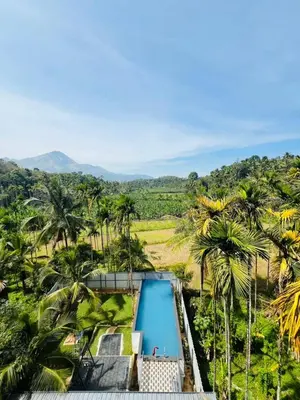 an overhead view of a resort swimming pool with palm trees at familyvillasliesure in Padinjarathara