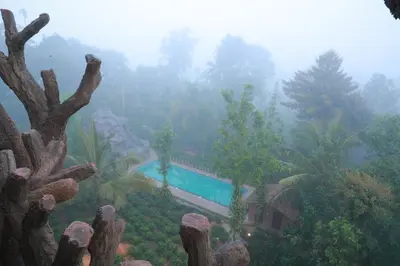 a swimming pool in the middle of a forest at Blue Bell Resort in Periya