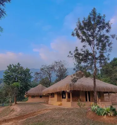a house with a straw roof and a tree at Nelli Mud Village in Thirunelli