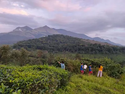 a group of people walking on a hill with mountains in the background at PADIKKAL BUNGLOW in Vayittiri