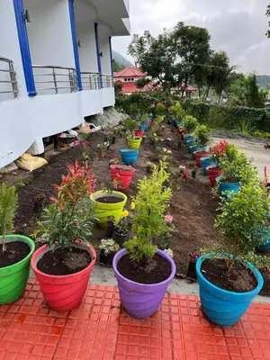 a row of plants in colorful pots in a garden at BanyanThree in Kodaikānāl