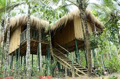 a hut in the middle of a forest with palm trees at Greenways Tree House and Mud House in Chekadi