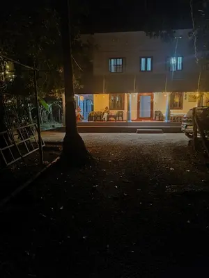 a tree in front of a building at night at Perch Next door in Kannur