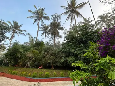 a horse grazing in a garden with palm trees at Exuberance Villa in Batheri