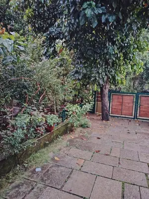 a stone walkway with a tree in a garden at NIT Calicut Apartment in Tāzhekkod