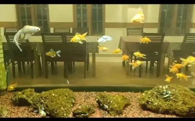 a room with a table and chairs with fish in it at Seaflare Beach Resort & Spa in Pallipuram