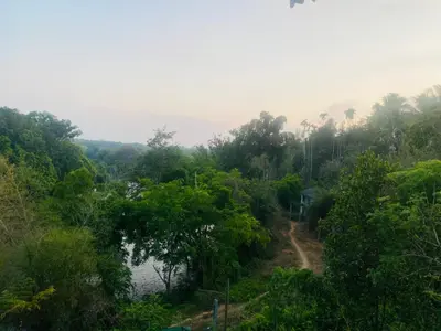 a view of a forest with a river and trees at Happydays Hut in Mananthavady