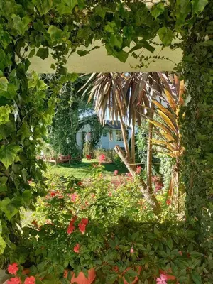 a view of a garden with flowers and plants at Hideaway in Ooty