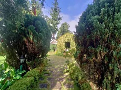 an overhead view of a garden with trees and a pathway at Hideaway in Ooty