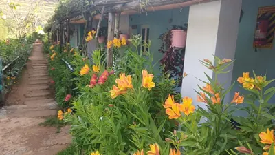 a garden with orange flowers next to a building at Cliff Club Resort Ooty in Ooty