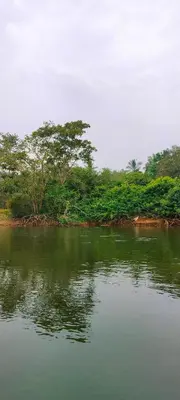 a large body of water with trees in the background at Homestay Rooms Muzhakkunnu Near Kannur International Airport in Iritti