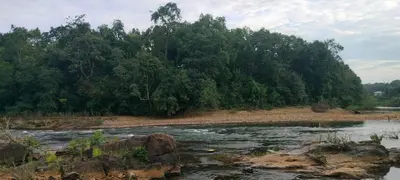 a river with rocks and trees in the background at Homestay Rooms Muzhakkunnu Near Kannur International Airport in Iritti