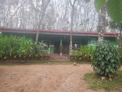 a green house with a dog in front of it at Green Wayanad Homestay in Batheri