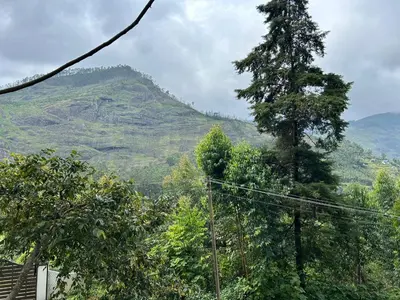 a view of a mountain with trees in the foreground at Mountain Breeze Resort Vattavada in Munnar