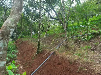 a train track in the middle of a forest at Pepper Mist Wayanad Homestay in Tindummal