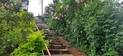 a set of stairs in a garden with plants at Spinson Home Stay in Madikeri