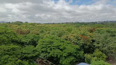 an overhead view of a forest filled with trees at Eve Service apartment in Mysore