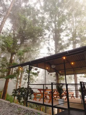 a building with a bunch of tables and trees at Cicadas Nature Resort - A Frame cottages in Wayanad