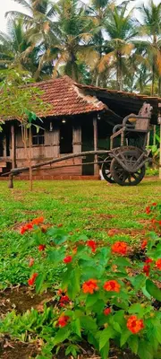 a house with a bench and flowers in front of it at whispering waters in Kozhikode