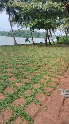 a field of grass next to a body of water at whispering waters in Kozhikode
