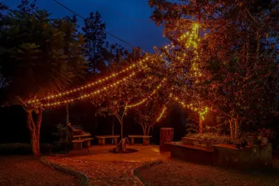 a string of lights hanging over a park at night at Valley View by Xploreindo in Pandalūr
