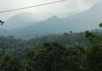a view of a forest with mountains in the background at Dhanagiri Homestay Wayanad in Vythiri