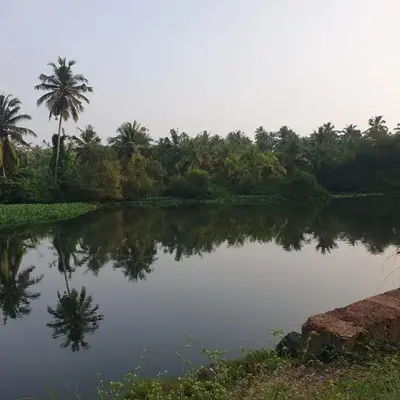 Farmville Riverside