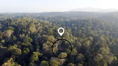 an aerial view of a forest with a circle in the middle at Yaala - Coorg Riverside Retreat in Napoklu