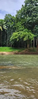 a body of water with trees in the background at RiverMist Resort in Nilambūr