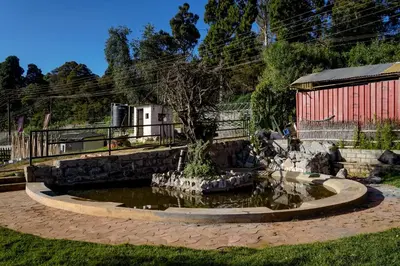 a fountain in a yard with a tree in it at Virgin Valley Leisure Resort in Ooty