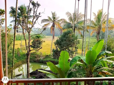 a view from the balcony of a resort with palm trees at Goldenpeak Estate-Homestay-3Bed-A frame Holiday Home in Wayanad