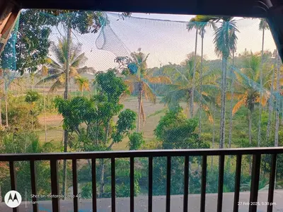 a balcony with a view of a forest of palm trees at Goldenpeak Estate-Homestay-3Bed-A frame Holiday Home in Wayanad