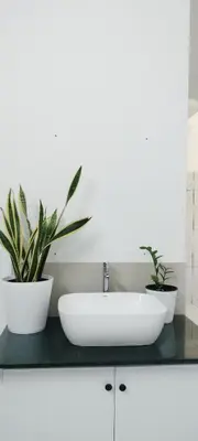 a bathroom sink with two potted plants on a counter at Little home apartment in Kozhikode