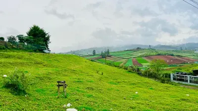 a green grassy hill with a sign on it at Away From Home - 6 - Rooms In Ooty, Home Stay Ooty in Ooty