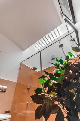 a green plant in a room with a ceiling at Resort Type Three Bed Room Villa in Trichūr