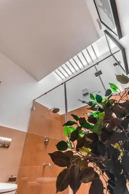 a green plant in a room with a ceiling at Resort Type Three Bed Room Villa in Trichūr
