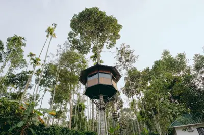 a tree house in the middle of some trees at Lilliput Haven Homestay in Sultan Bathery