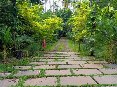 a stone path in the middle of a forest at Green Haven Homestay in Kodungallūr