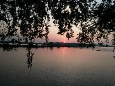 a sunset over a body of water with a tree at Green Haven Homestay in Kodungallūr