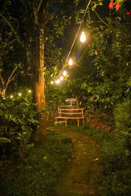 a wooden bench in a park at night at Misty Hills Cabin in Wayanad