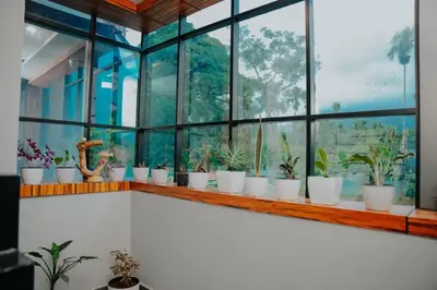 a room with a bunch of potted plants on a window sill at Saj Heritage in Kalpetta