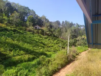 a dirt road next to a grassy hill with a house at haven bridge Homestay in Meenangadi